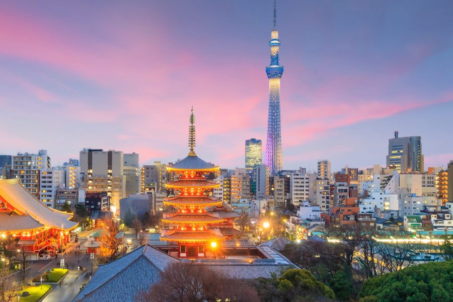 Tokyo Private & Customizable Walking Tour with Expert Guide (5h / 9ppl)