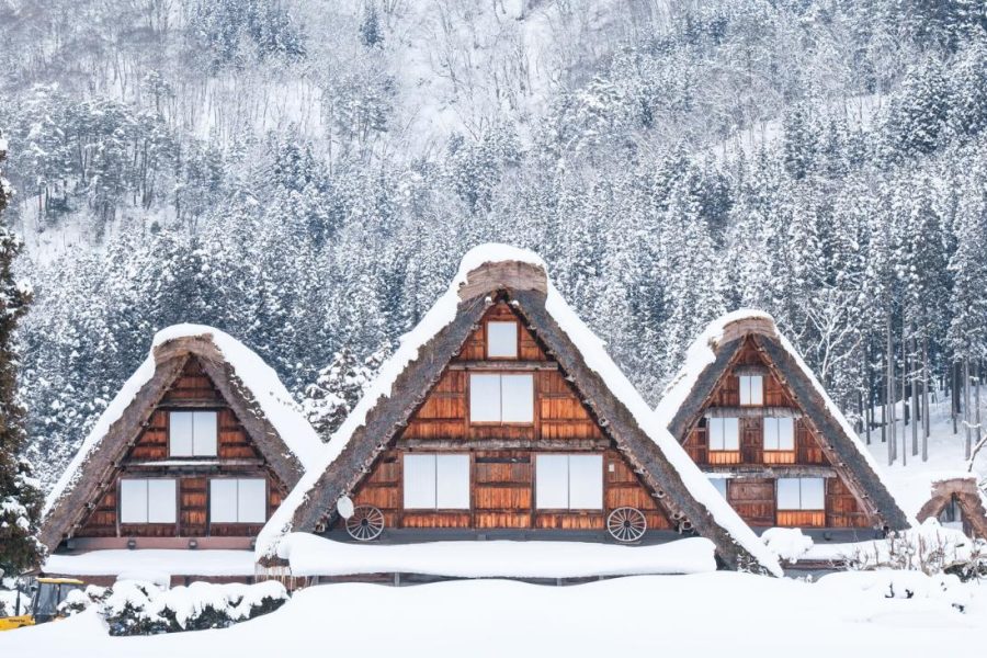 Shirakawa-go Private & Customizable Tour with Comfortable Car (Up to 9 Guests)