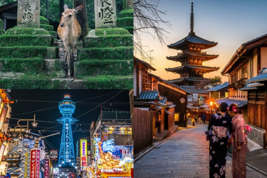 The Best of Kansai 5 Days Private Tour: Osaka, Kyoto, Nara (No transportation / 3 star hotel)
