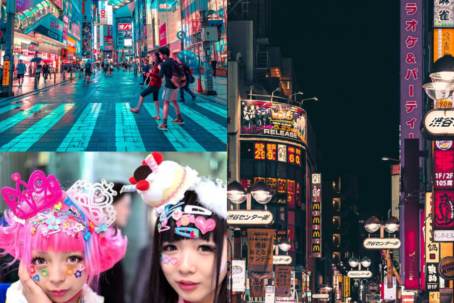 The Best of Tokyo 5 Days Private Tour: Tokyo (No transportation / 3 star hotel)